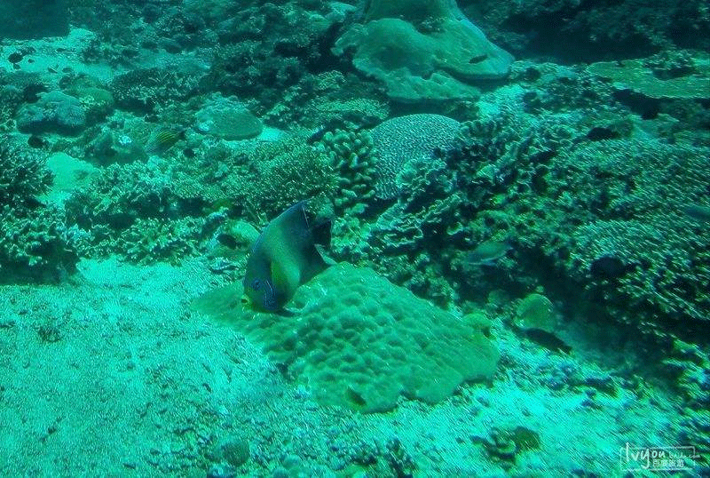 1541578244737180.png image.png