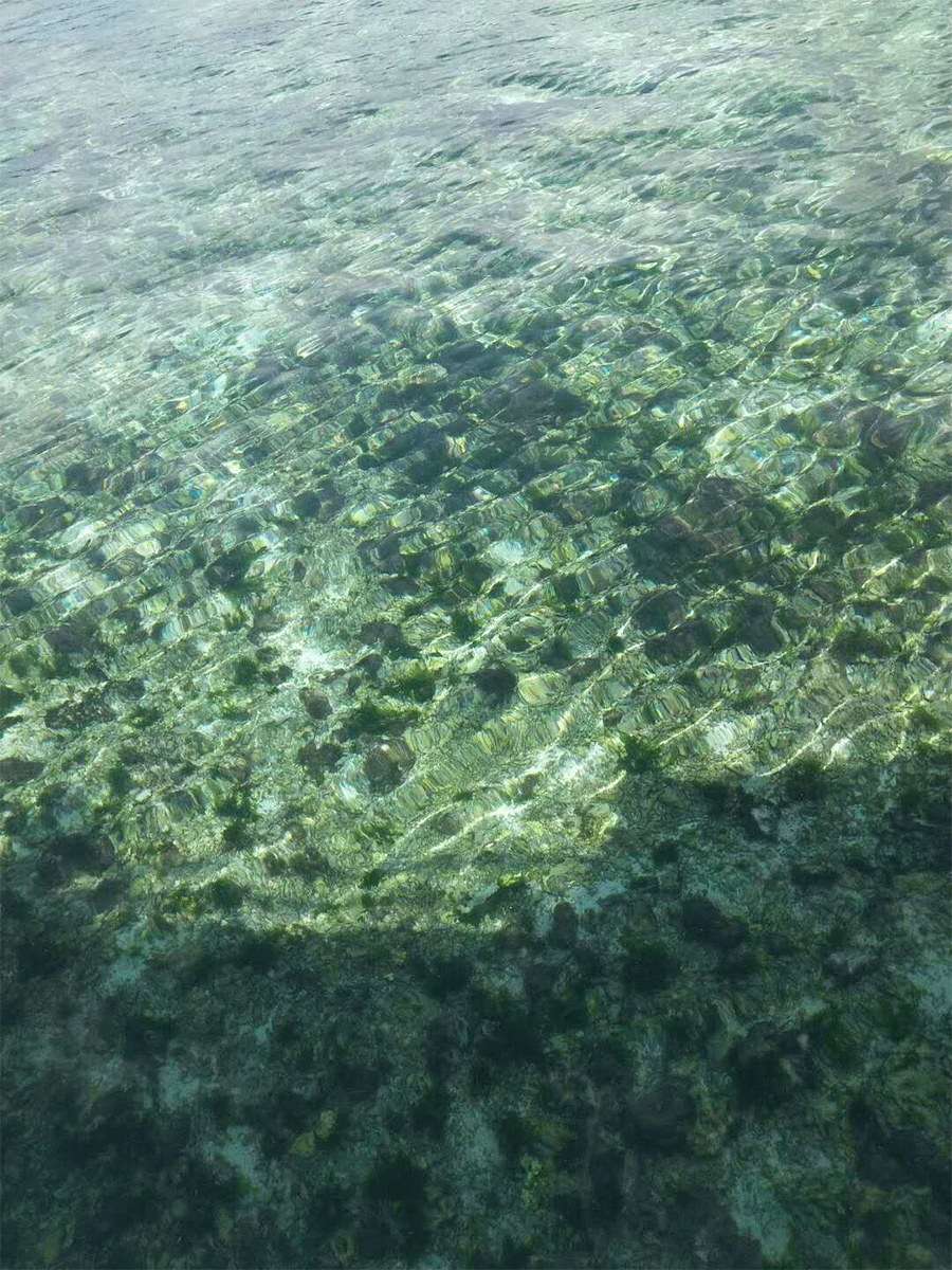 1541579368984231.png image.png